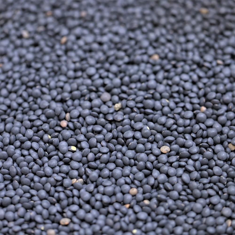 Black Lentils